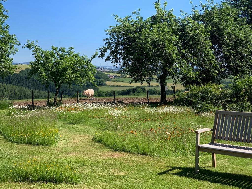 Urlaub Mit Hund Auf Dem Bauernhof Hofswald Apartment Euscheid ภายนอก รูปภาพ