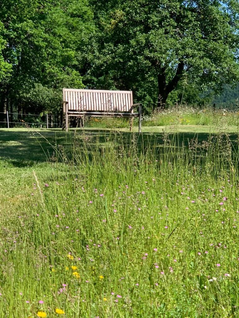 Urlaub Mit Hund Auf Dem Bauernhof Hofswald Apartment Euscheid ภายนอก รูปภาพ