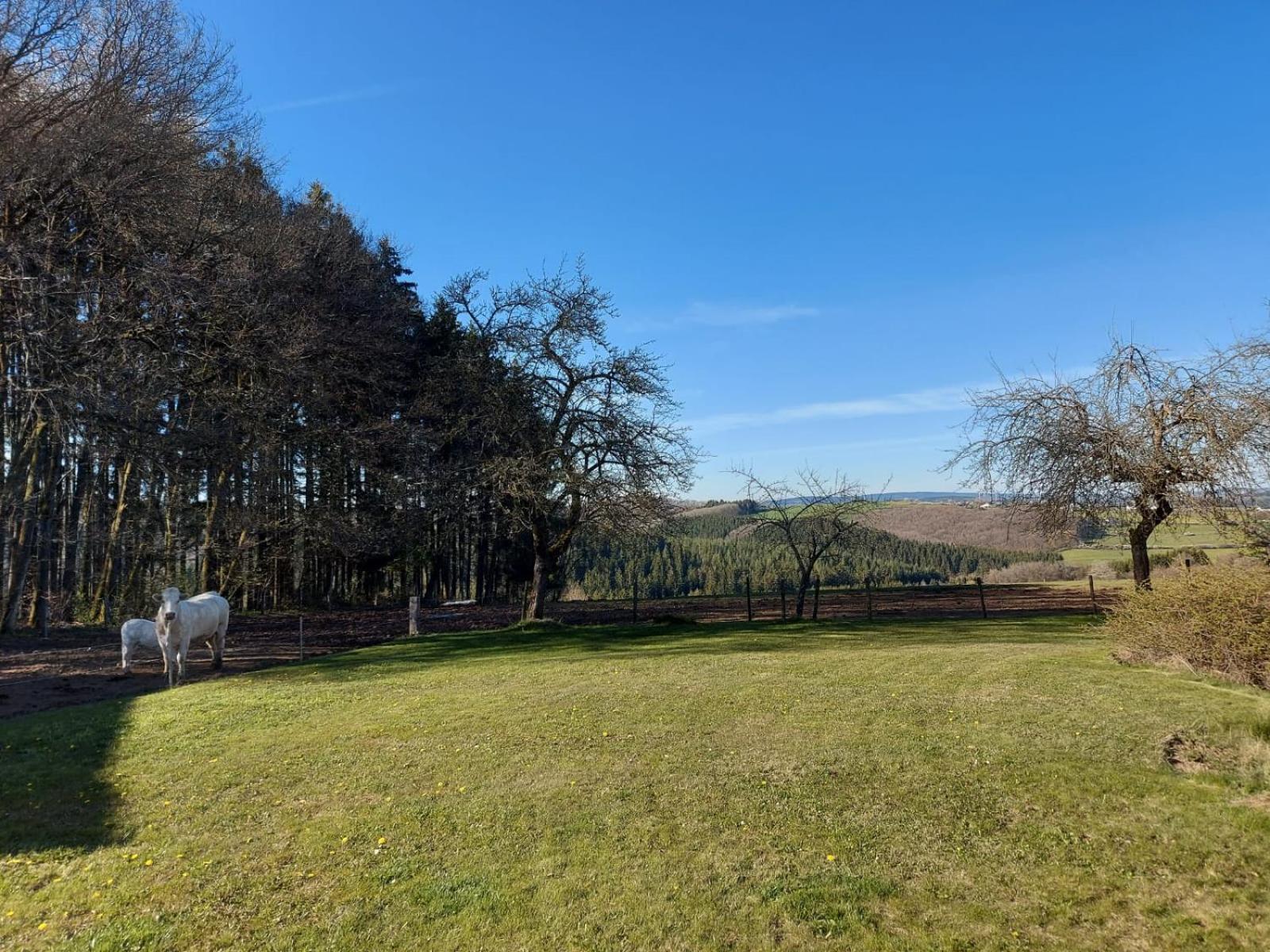 Urlaub Mit Hund Auf Dem Bauernhof Hofswald Apartment Euscheid ภายนอก รูปภาพ