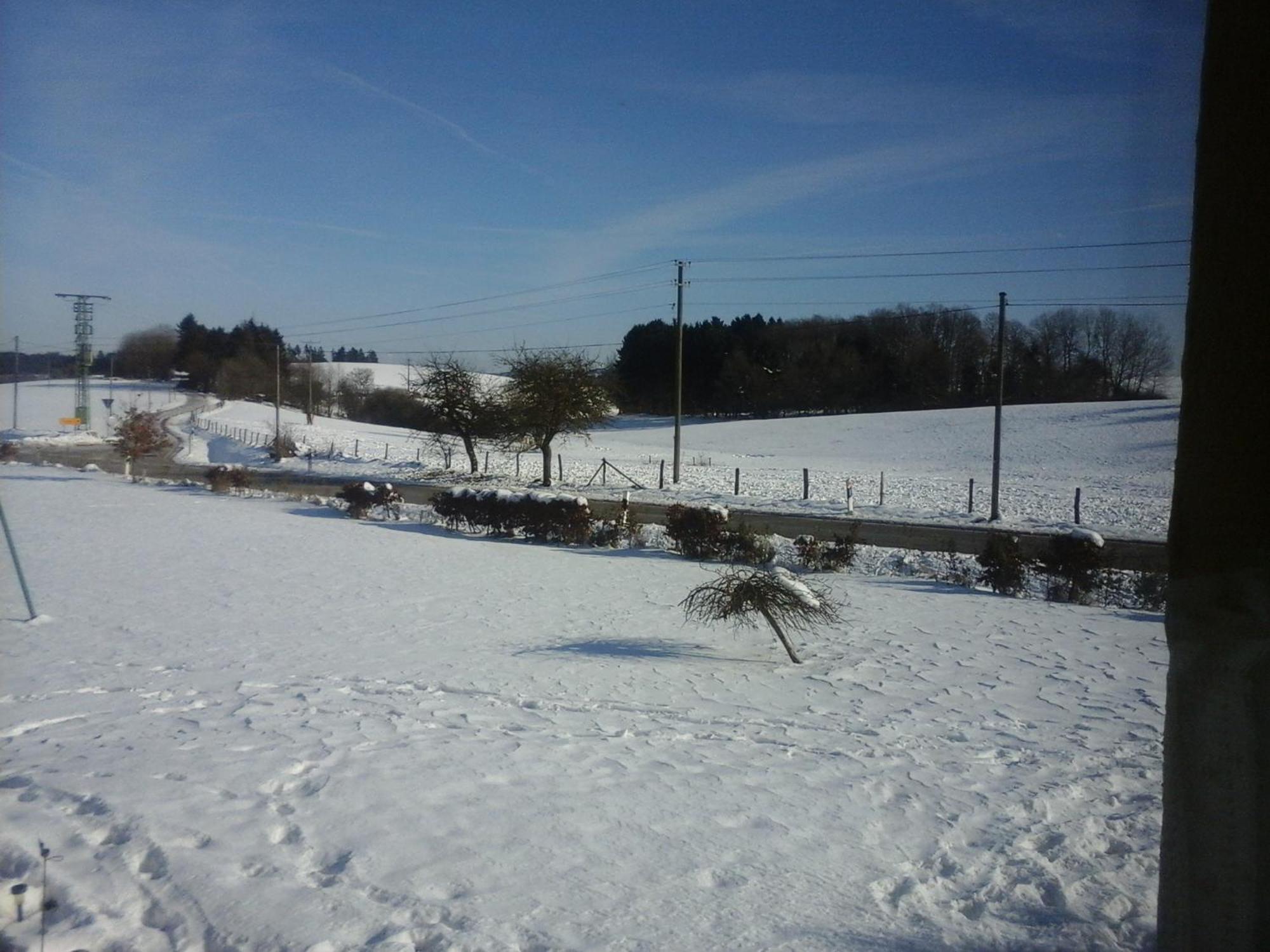 Urlaub Mit Hund Auf Dem Bauernhof Hofswald Apartment Euscheid ภายนอก รูปภาพ