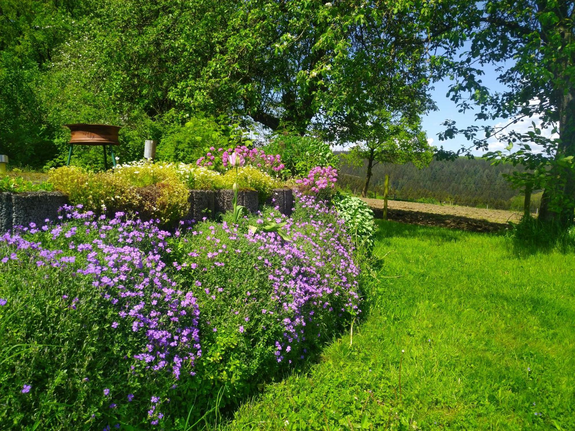 Urlaub Mit Hund Auf Dem Bauernhof Hofswald Apartment Euscheid ภายนอก รูปภาพ
