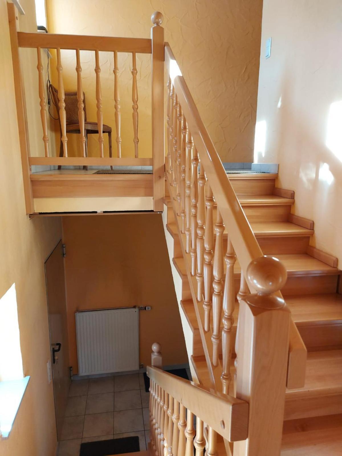 Urlaub Mit Hund Auf Dem Bauernhof Hofswald Apartment Euscheid ภายนอก รูปภาพ