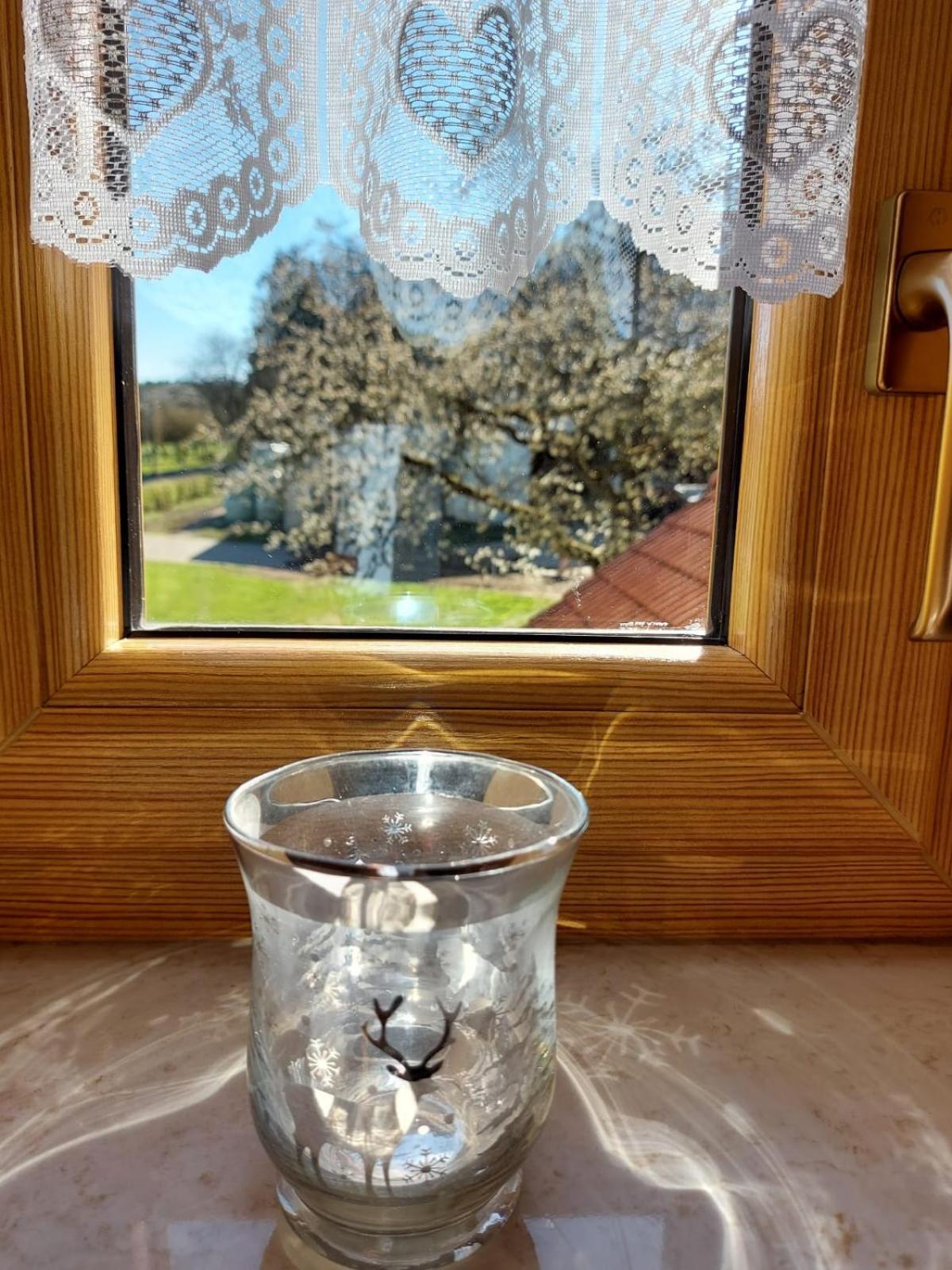 Urlaub Mit Hund Auf Dem Bauernhof Hofswald Apartment Euscheid ภายนอก รูปภาพ